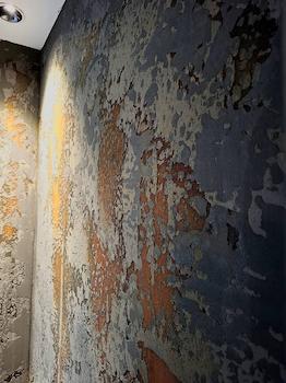 شورووم شیرالات هانس گرهه